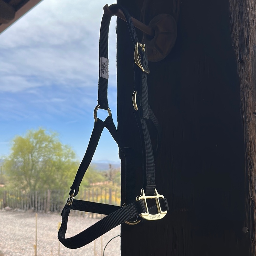 NWOT Weaver Weanling Halter